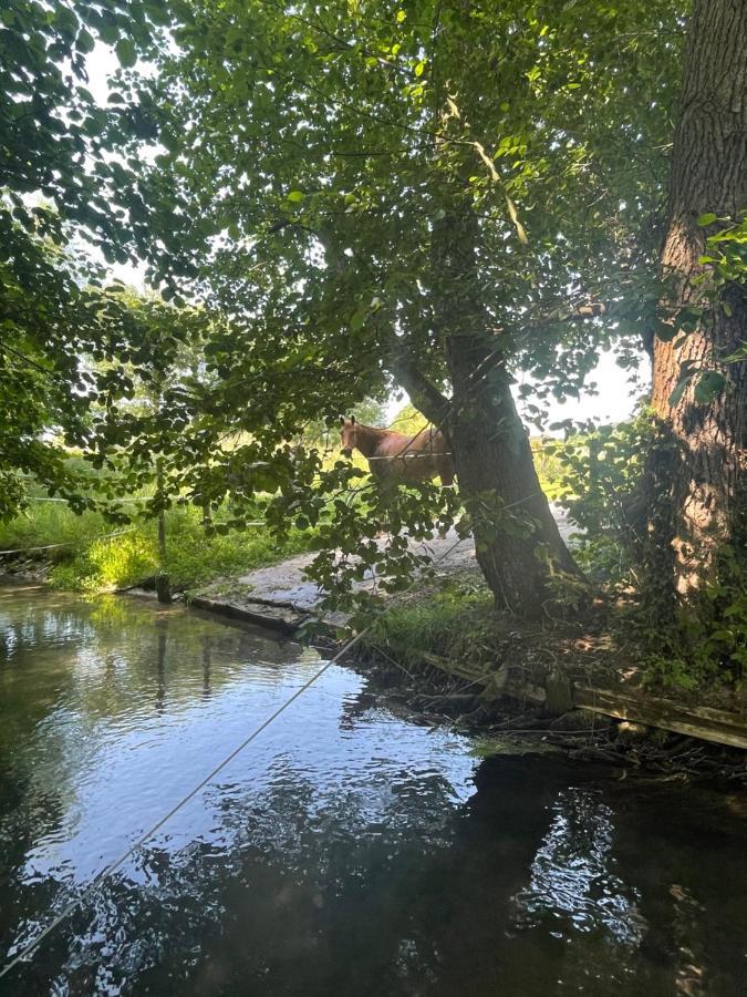 Gite « Le Moulin » A 2 Pas De La Mer Saint-Martin-le-Gaillard Buitenkant foto